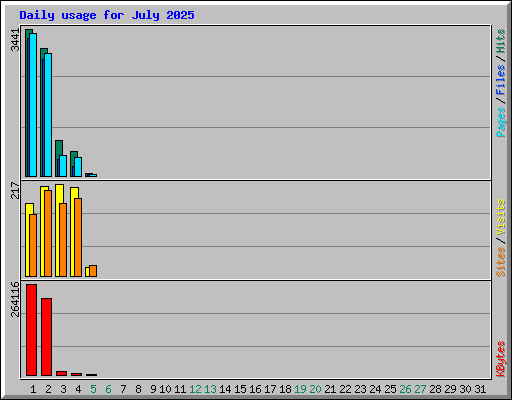 Daily usage for July 2025