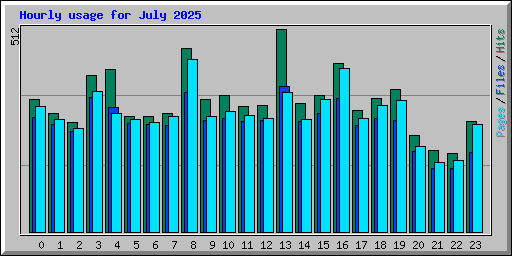 Hourly usage for July 2025